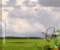 Balloon Hunter - Strategy Game