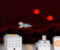 Night Raptor - Action Game