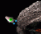 FlashWars - Action Game