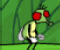 Musco Morpha - Adventure Game