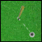 Amazing Golf - Sports Game