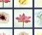 Quick Pic - Puzzle Game