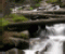 Forest Waterfall - Puzzle Game