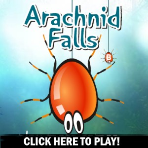 Arachnid Falls -  Action Game